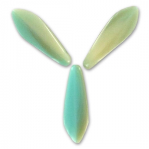 Daghe mm. 5x16 Mint/Ivoire x50