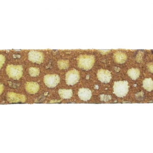 Laccetto 10 mm Imitazione Pesce Camel x30cm