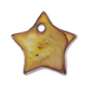 Zecchini Stella Madreperla mm. 14 Bronze x10