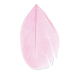 Piume 6 cm Rosa x3gr