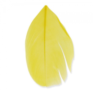 Piume 6 cm Giallo x3gr