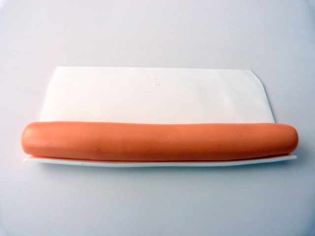 Citrus-anatra pate-polimero-2_640 cane-agrumes-pate-polymere-2_640