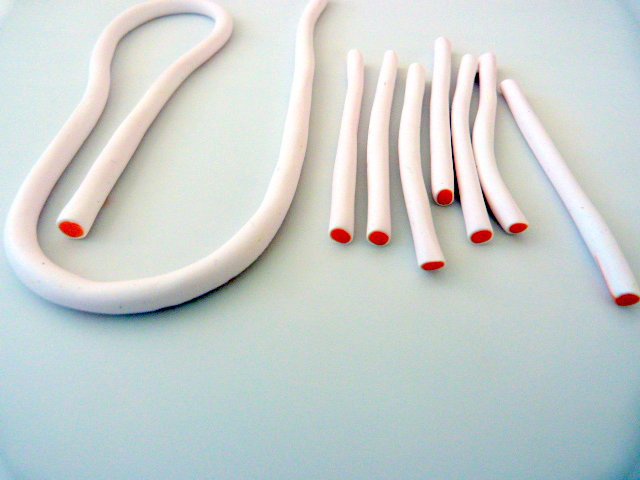 Citrus-anatra pate-polimero-4_640 cane-agrumes-pate-polymere-4_640