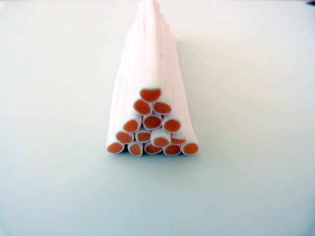 Citrus-anatra pate-polimero-5_640 cane-agrumes-pate-polymere-5_640