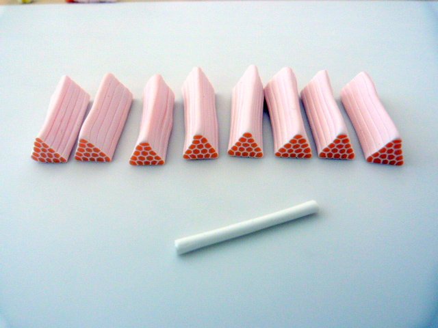 Citrus-anatra pate-polimero-6_640 cane-agrumes-pate-polymere-6_640