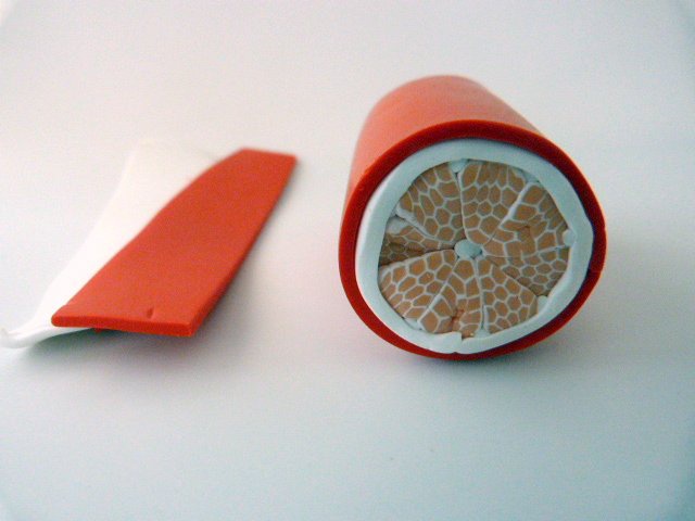 Citrus-anatra pate-polimero-8_640 cane-agrumes-pate-polymere-8_640