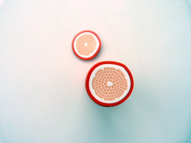 Citrus-anatra pate-polimero-9_640 cane-agrumes-pate-polymere-9_640