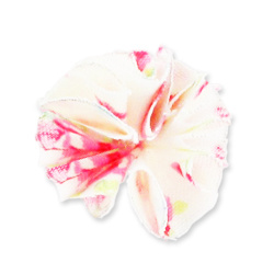 fleurs_miniatures_12 fleurs_miniatures_12