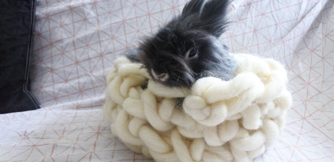 Tutorial fai da te Lavorare a maglia un cesto per gatto o coniglio con le mani