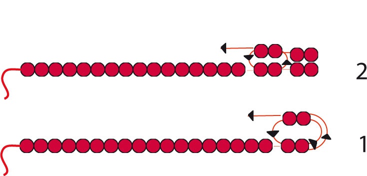 parure-saigond1 parure-saigond1