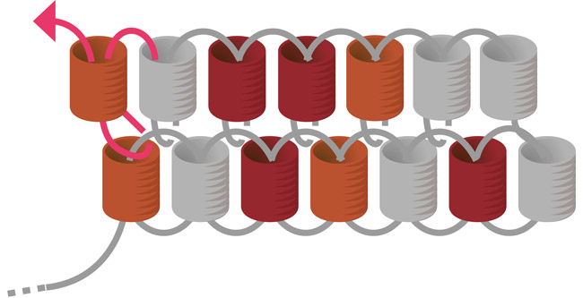 orecchini rossi miyuki con punte di tessitura argento 925 : Tappa 5 orecchini rossi miyuki con punte di tessitura argento 925 : Tappa 5