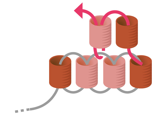 Orecchini mini pompon tessitura Miyuki passaggio 3