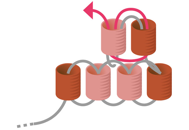 Orecchini a pompon Mini Miyuki intrecciati passo 3b