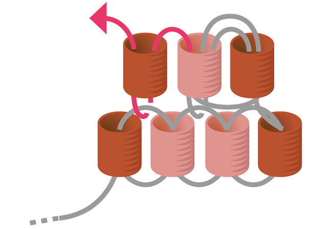 Orecchini con nappa intrecciata step 4 Miyuki