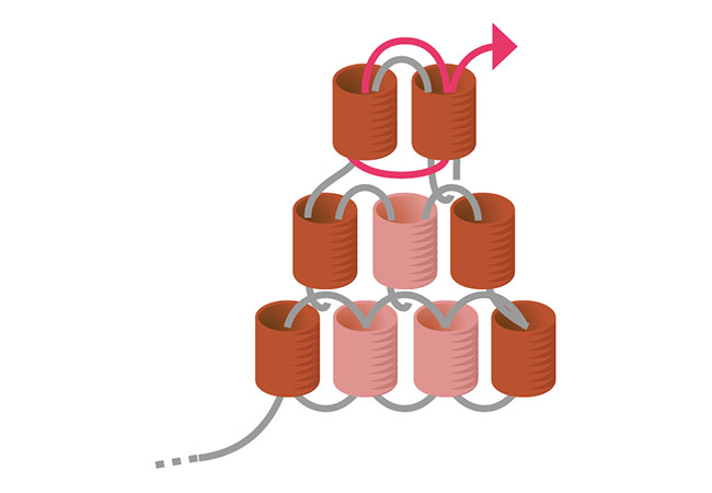 Orecchini pompon Mini Miyuki intrecciati passo 5b