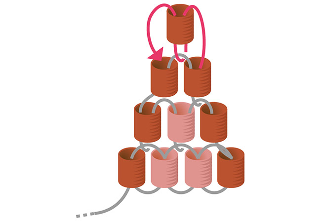 Orecchini mini pompon tessitura Miyuki passaggio 6