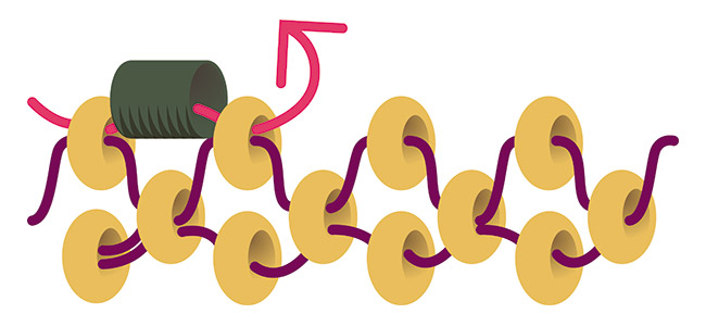 inizio del fermaglio di perle in tessitura circolare di peyote 2