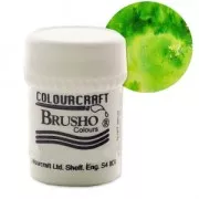 Polvere acquarellabile Brusho Colours - Lime Green x15 g