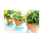 Pittura acrilica- DecoCrème di Pébéo- Greengold Mat n°35 x 120ml