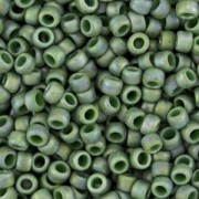 Rocaille Toho 8/0 TO8R2634F - Semi Glazed Rainbow Clover x8g