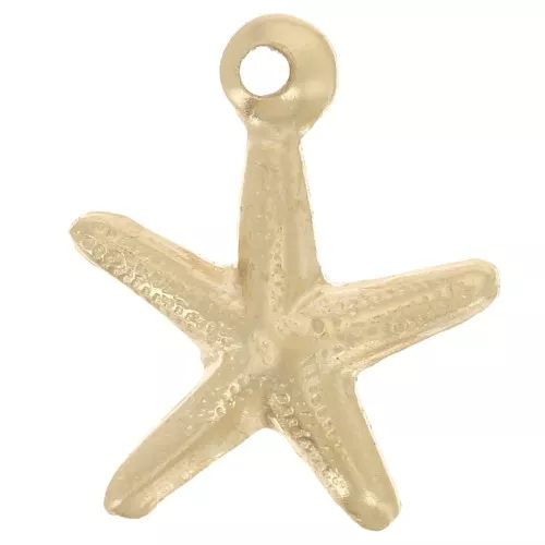 Ciondolo sottile Stella di Mare 9.5x8.5 mm Gold filled x1