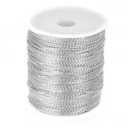 Filo di poliestere 1 mm Argentato metallizzato x 100 m