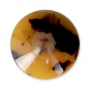 Cabochon rotondo in acetato di cellulosa 18 mm Guscio di tartaruga Marrone/Nero x1