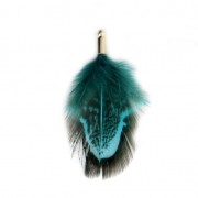 Piuma di gallo con terminale dorato 35 mm Petrolio/Nero x1