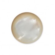 Cabochon tondo 10 mm Madreperla bianca x1|raw }}