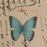 Farfalla senza foro 50x35 mm Verde e Nero x1