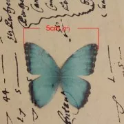 Farfalla senza foro 50x35 mm Verde e Nero x1