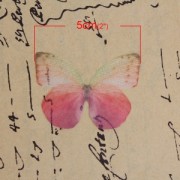 Farfalla senza foro 50x35 mm Fuchsia e viola x1