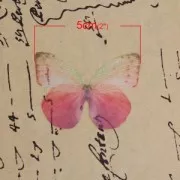 Farfalla senza foro 50x35 mm Fuchsia e viola x1