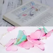 Farfalla senza foro 50x40 mm Bianco e arancione x1