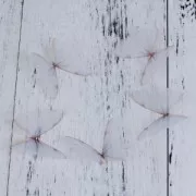 Farfalla senza foro 50x40 mm Bianco e arancione x1