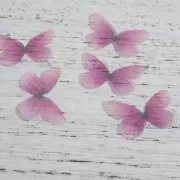 Farfalla senza foro 30x21 mm Viola e Fuchsia x1