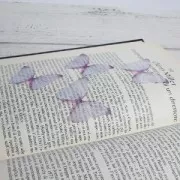 Farfalla senza foro 50x35 mm Blu e viola x1