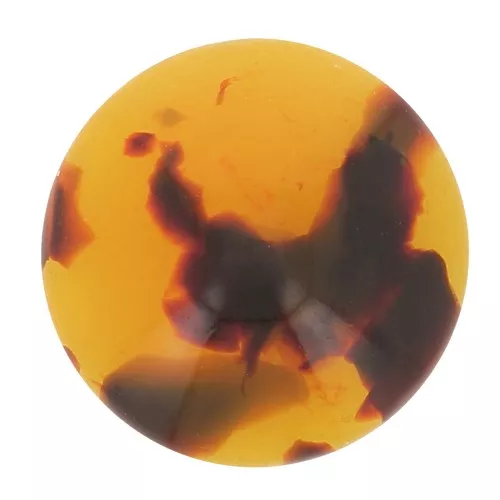 Cabochon rotondo in acetato di cellulosa 12 mm Guscio di tartaruga Marrone/Nero x1