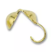 Coprinodi mm. 4 dorato x24