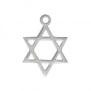Ciondolo stella 16.5x12 mm in Acciaio inox x1