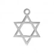 Ciondolo stella 16.5x12 mm in Acciaio inox x1