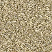 Perline Rocaille Miyuki Duracoat 15/0 4201 - Argento zincato x 100 g