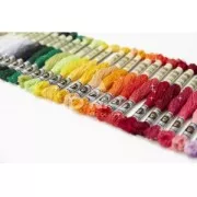 Filo da ricamo DMC Mouliné Etoile 617 Arancione (C740) x8m