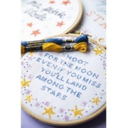 Filo da ricamo DMC Mouliné Etoile 617 Cioccolato (C938) x8m