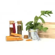 Regola timbro alfabeto per pasta polimerica