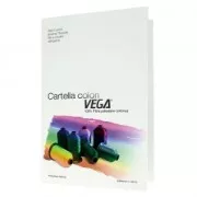 Tavola di colori fili in poliestere Vega per il chiacchierino x1