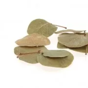 Foglie di Lunaria secche per creazione diy x5 gr