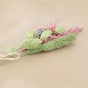 Foglie di Lunaria secche per creazione diy x5 gr