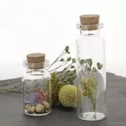 Foglie di Lunaria secche per creazione diy x5 gr