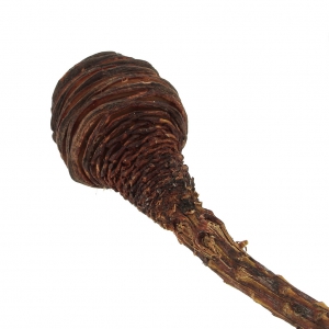 Fiori secchi per creazione diy x1 stelo